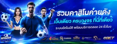 เว็บแทงบอล ไหนดี